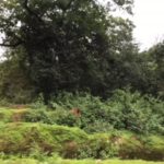 Way to Banavasi