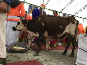 IMG_0863
