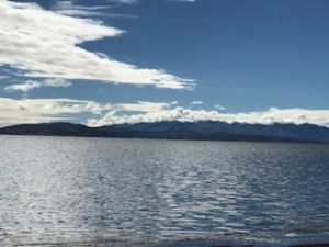 IMG_6565