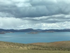 IMG_6573 (1)