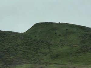 IMG_7065