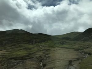 IMG_7081