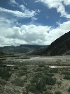 IMG_7111