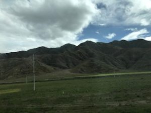 IMG_7118